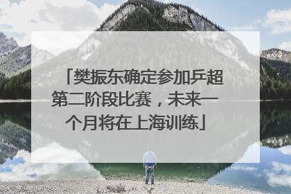 樊振东确定参加乒超第二阶段比赛，未来一个月将在上海训练