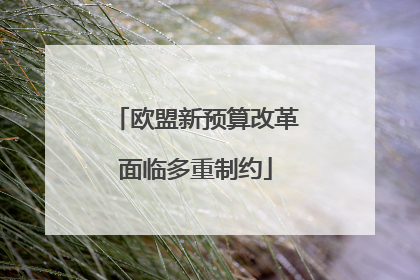 欧盟新预算改革面临多重制约