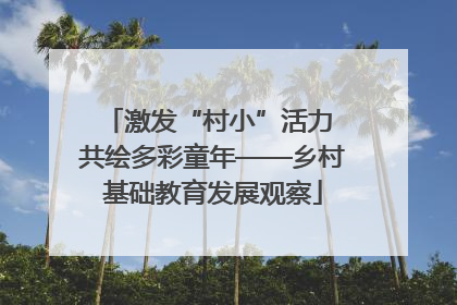 激发“村小”活力 共绘多彩童年——乡村基础教育发展观察