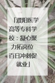 濮阳医学高等专科学校：凝心聚力拓岗位 百日冲刺促就业