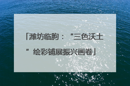 潍坊临朐：“三色沃土”绘彩铺展振兴画卷