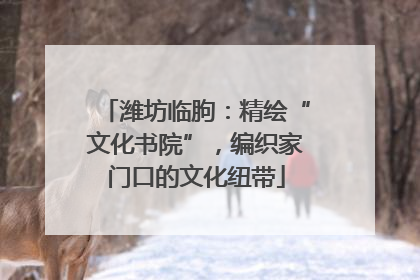 潍坊临朐：精绘“文化书院”，编织家门口的文化纽带