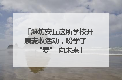 潍坊安丘这所学校开展麦收活动，盼学子 “麦” 向未来