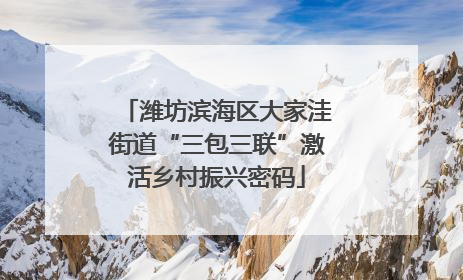 潍坊滨海区大家洼街道“三包三联”激活乡村振兴密码