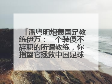 潘粤明炮轰国足教练伊万：一个装傻不辞职的所谓教练，你指望它拯救中国足球！此前曾多次发文评价国足