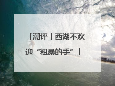 潮评丨西湖不欢迎“粗暴的手”