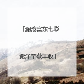 澜沧富东七彩紫洋芋获丰收