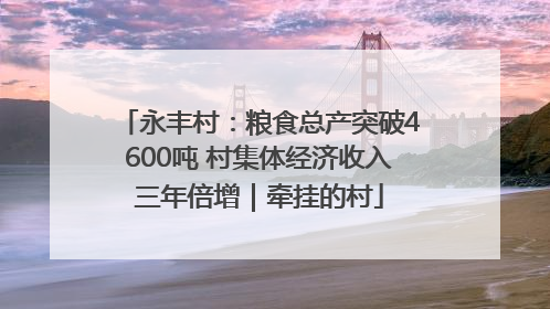 永丰村：粮食总产突破4600吨 村集体经济收入三年倍增｜牵挂的村