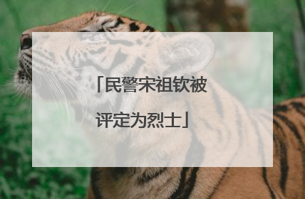 民警宋祖钦被评定为烈士