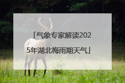 气象专家解读2025年湖北梅雨期天气