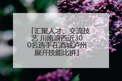 汇聚人才、交流技艺 川南渝西近300名选手在酒城泸州展开技能比拼