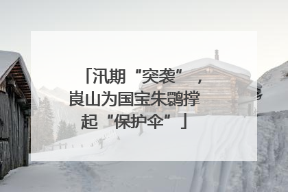 汛期“突袭”，崀山为国宝朱鹮撑起“保护伞”