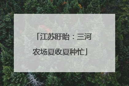 江苏盱眙：三河农场夏收夏种忙