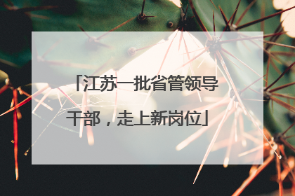 江苏一批省管领导干部，走上新岗位