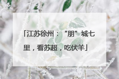 江苏徐州：“朋”城七里，看苏超，吃伏羊