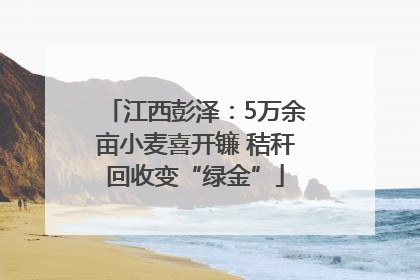 江西彭泽：5万余亩小麦喜开镰 秸秆回收变“绿金”