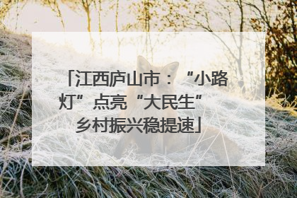 江西庐山市：“小路灯”点亮“大民生” 乡村振兴稳提速