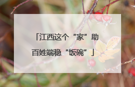 江西这个“家”助百姓端稳“饭碗”