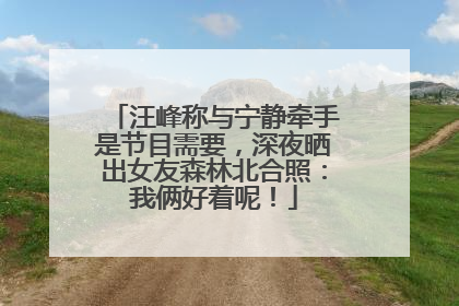 汪峰称与宁静牵手是节目需要，深夜晒出女友森林北合照：我俩好着呢！