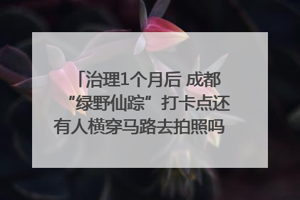 治理1个月后 成都“绿野仙踪”打卡点还有人横穿马路去拍照吗？｜民情瞭望