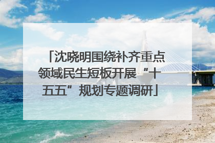 沈晓明围绕补齐重点领域民生短板开展“十五五”规划专题调研