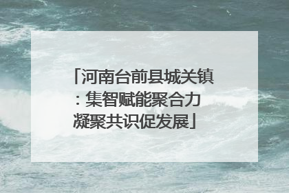 河南台前县城关镇：集智赋能聚合力 凝聚共识促发展