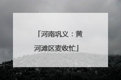 河南巩义：黄河滩区麦收忙