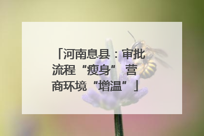 河南息县：审批流程“瘦身” 营商环境“增温”