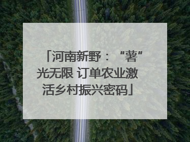 河南新野：“薯”光无限 订单农业激活乡村振兴密码