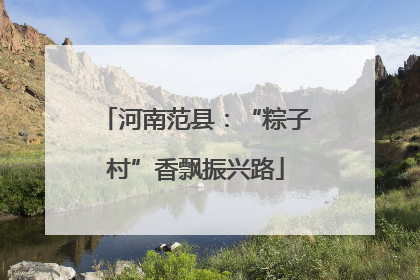 河南范县：“粽子村”香飘振兴路