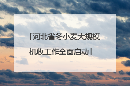 河北省冬小麦大规模机收工作全面启动