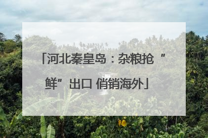 河北秦皇岛：杂粮抢“鲜”出口 俏销海外
