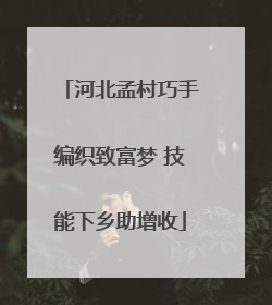河北孟村巧手编织致富梦 技能下乡助增收