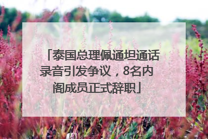 泰国总理佩通坦通话录音引发争议，8名内阁成员正式辞职
