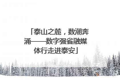 泰山之麓，数潮奔涌——数字强省融媒体行走进泰安