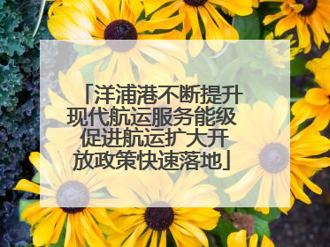 洋浦港不断提升现代航运服务能级 促进航运扩大开放政策快速落地
