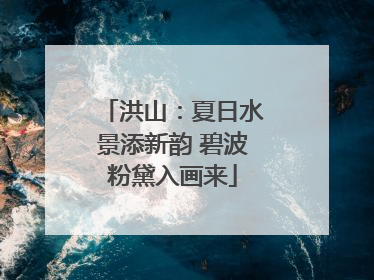 洪山：夏日水景添新韵 碧波粉黛入画来