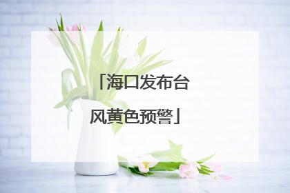 海口发布台风黄色预警