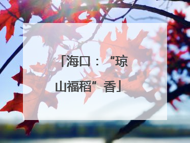 海口：“琼山福稻”香