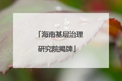 海南基层治理研究院揭牌