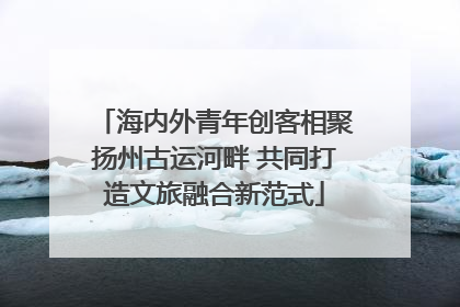 海内外青年创客相聚扬州古运河畔 共同打造文旅融合新范式