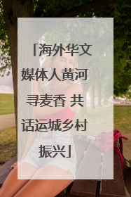海外华文媒体人黄河寻麦香 共话运城乡村振兴