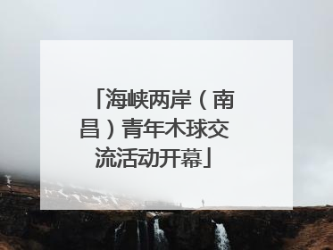 海峡两岸（南昌）青年木球交流活动开幕
