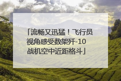 流畅又迅猛！飞行员视角感受数架歼-10战机空中近距格斗