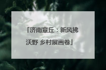济南章丘：新风拂沃野 乡村展画卷