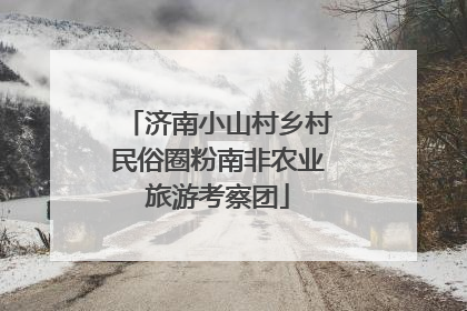 济南小山村乡村民俗圈粉南非农业旅游考察团