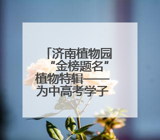 济南植物园“金榜题名”植物特辑——为中高考学子送上自然祝福！
