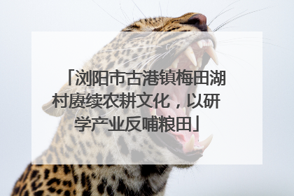 浏阳市古港镇梅田湖村赓续农耕文化，以研学产业反哺粮田