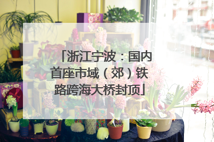 浙江宁波：国内首座市域（郊）铁路跨海大桥封顶