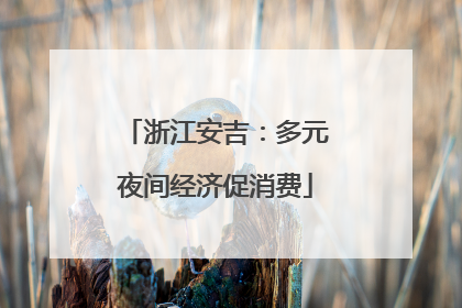 浙江安吉：多元夜间经济促消费